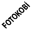 Fotokobi
